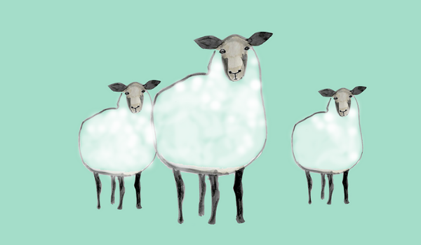 What’s on for Eid Al Adha 2019?