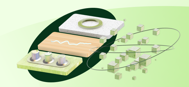 100% equity portfolios